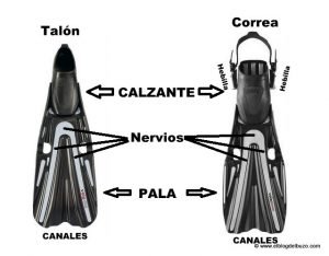 ⭐Mejores Aletas de buceo 【2024 】Comparativa y guía de compra ⭐