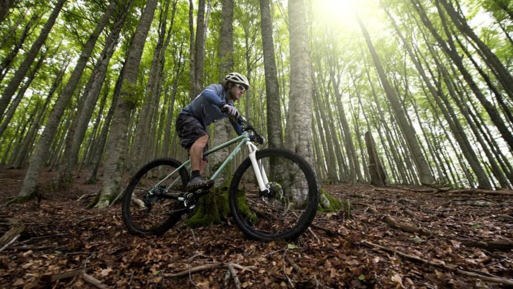 Guía para comprar la bicicleta que buscas |