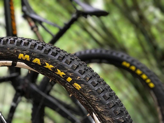 Las mejores cubiertas para MTB - Ofertas, modelos y opinión