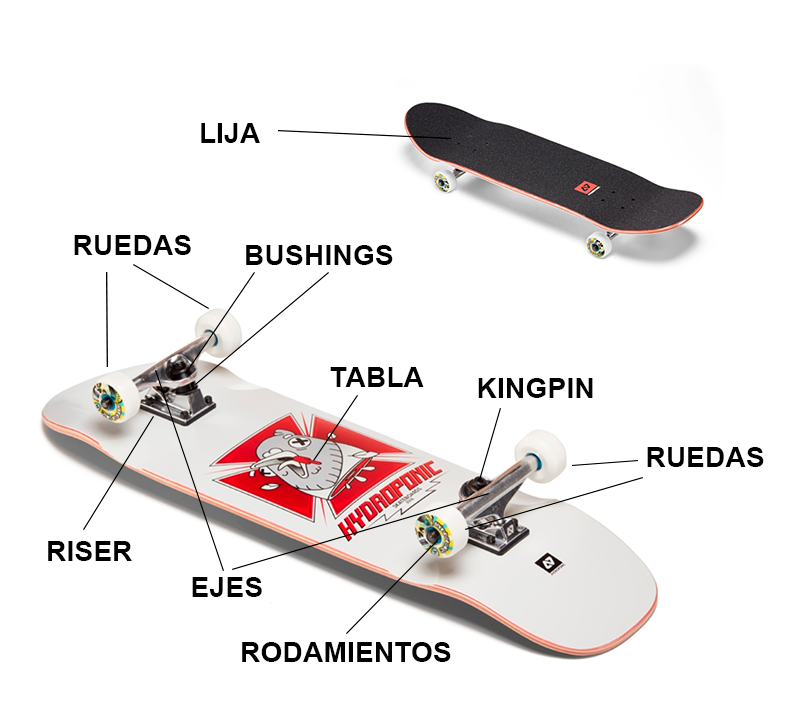 Guía de compra de skate.